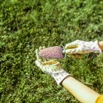 ertilizer-for-grass-growth