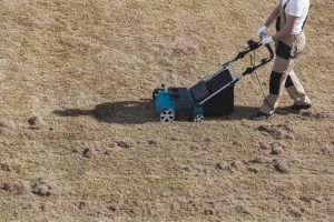 Scarifying lawn with a scarifier, Man gardener scarifies the lawn and removal of old grass