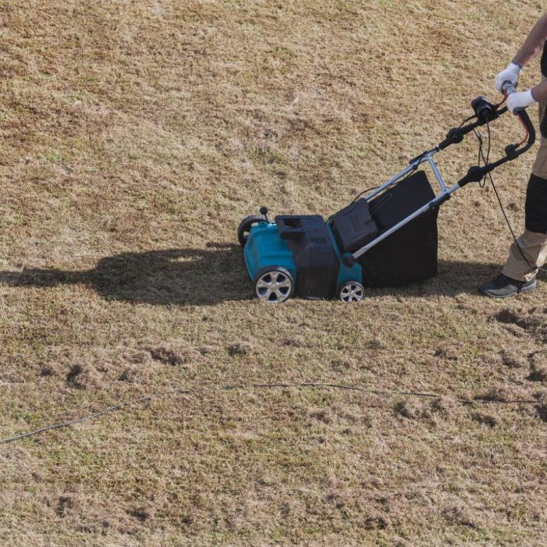Scarifying lawn with a scarifier, Man gardener scarifies the lawn and removal of old grass