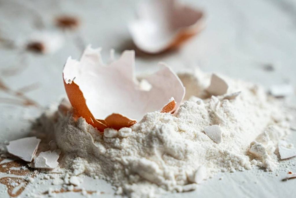 eggshell fertilizer calcium