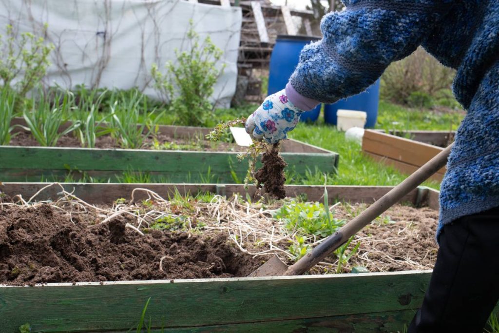 compost fertilizer from food waste